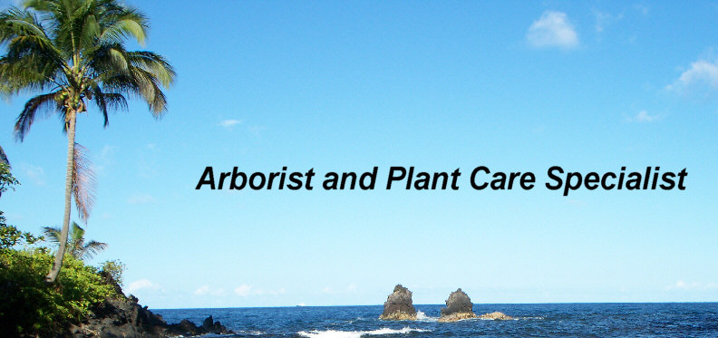 Arborist and Plant Care Specialist